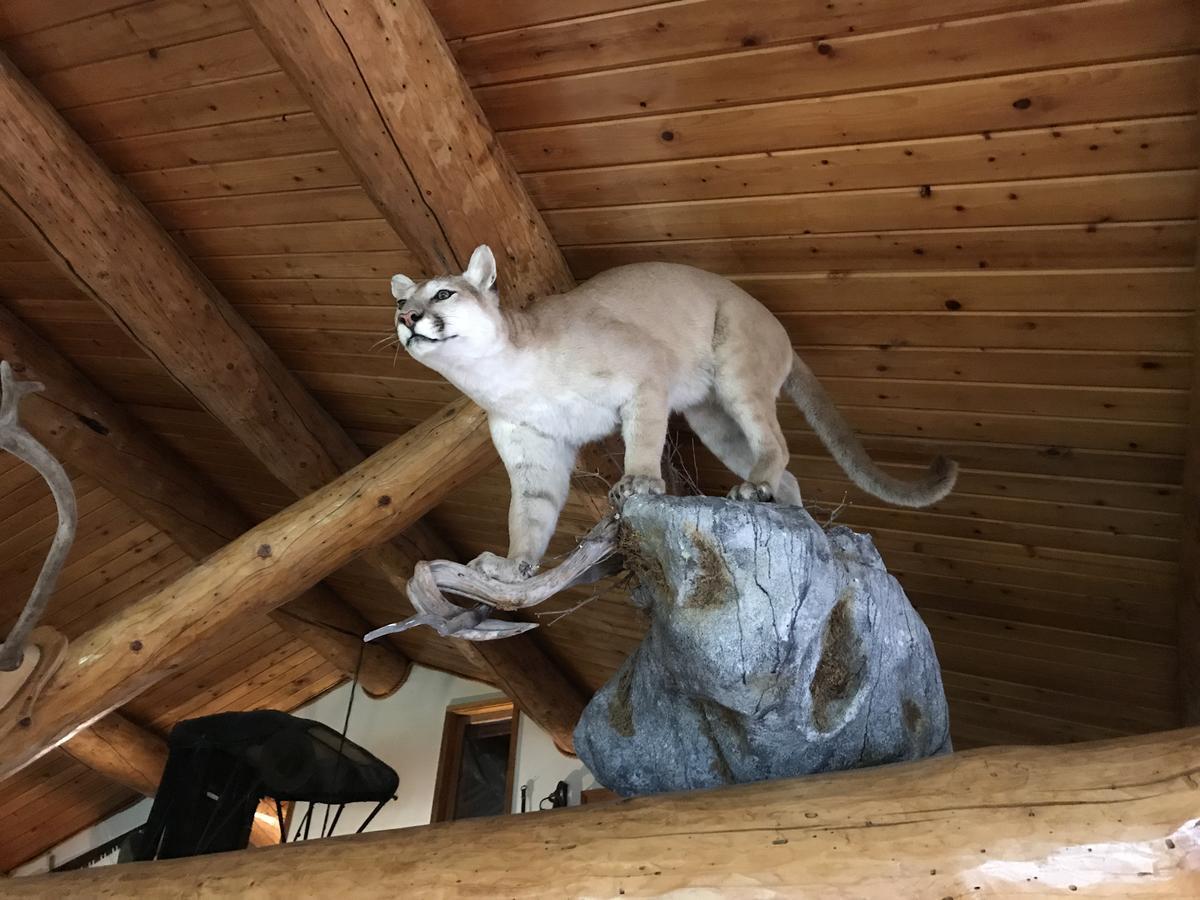 Louise Lodge, Alaska * Glennallen